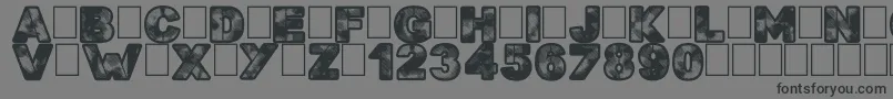 フォントSearchn Destroy – 黒い文字の灰色の背景
