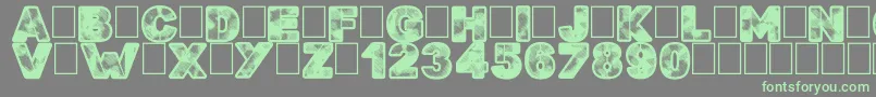 Searchn Destroy Font – Green Fonts on Gray Background
