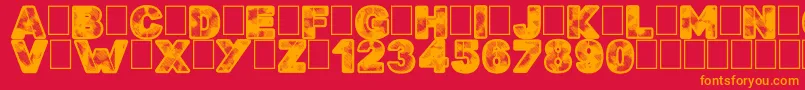 Searchn Destroy Font – Orange Fonts on Red Background