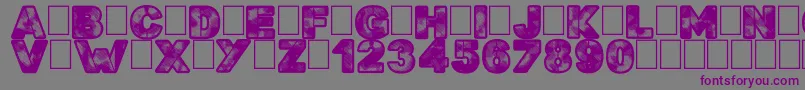 Searchn Destroy Font – Purple Fonts on Gray Background