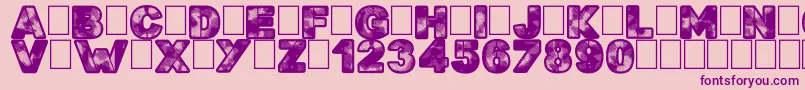 Searchn Destroy Font – Purple Fonts on Pink Background