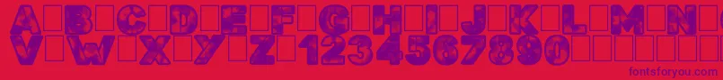 Searchn Destroy Font – Purple Fonts on Red Background