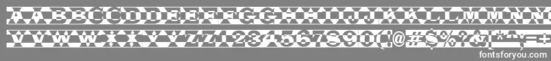 Latino7 Font – White Fonts on Gray Background