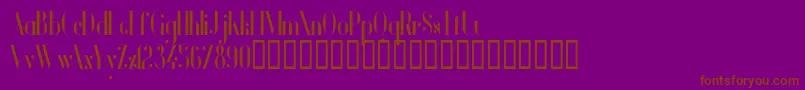 VanityBoldNarrow Font – Brown Fonts on Purple Background