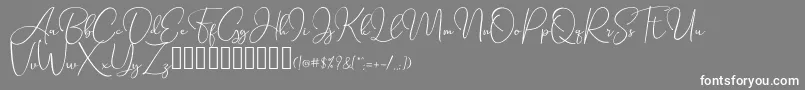 フォントSeattleScriptDemo – 灰色の背景に白い文字