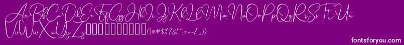 Fonte SeattleScriptDemo – fontes brancas em um fundo violeta