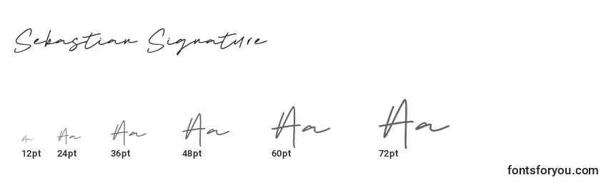 Größen der Schriftart Sebastian Signature