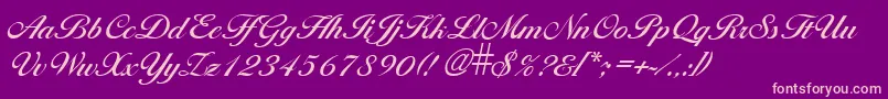 LarissaRegular Font – Pink Fonts on Purple Background