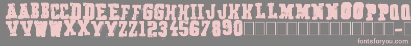 フォントSecret Agency – 灰色の背景にピンクのフォント
