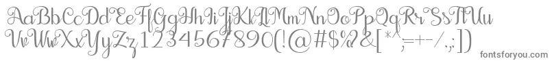 フォントSeelyn Font – 白い背景に灰色の文字