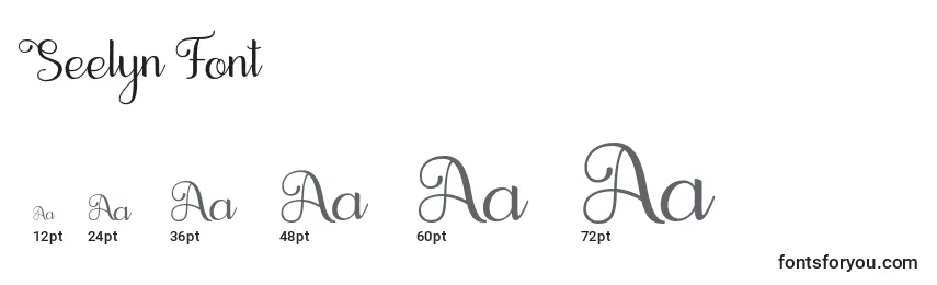 Размеры шрифта Seelyn Font