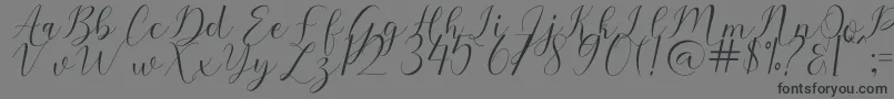 フォントSehaty – 黒い文字の灰色の背景