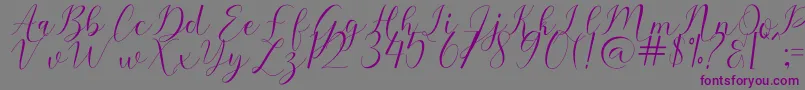 Czcionka Sehaty – fioletowe czcionki na szarym tle