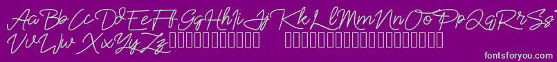 Sekaran Font – Green Fonts on Purple Background