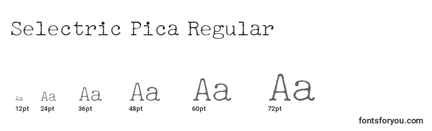 Размеры шрифта Selectric Pica Regular