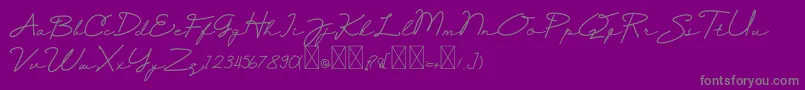 Selfiana-Schriftart – Graue Schriften auf violettem Hintergrund