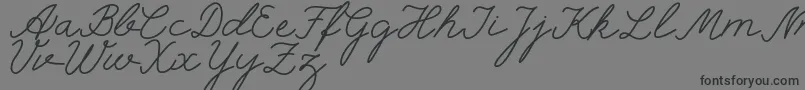 selfilla Font – Black Fonts on Gray Background