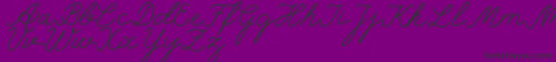 selfilla Font – Black Fonts on Purple Background