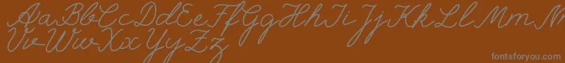 More about selfilla Font selfilla Font – Gray Fonts on Brown Background