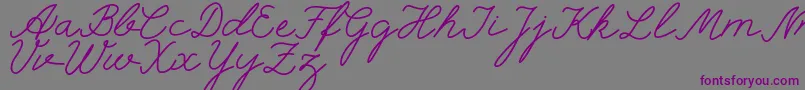 selfilla-Schriftart – Violette Schriften auf grauem Hintergrund