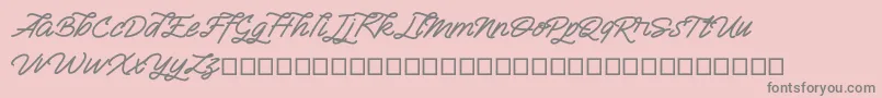 Semangkang Font – Gray Fonts on Pink Background