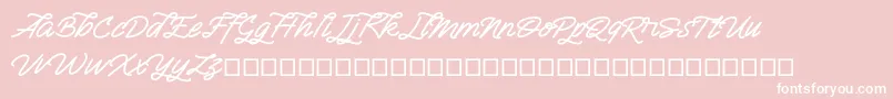 Semangkang Font – White Fonts on Pink Background