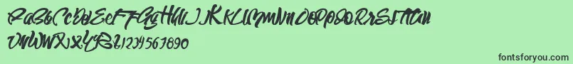 Шрифт SEMPAK – чёрные шрифты на зелёном фоне