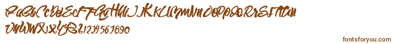 Шрифт SEMPAK – коричневые шрифты на белом фоне