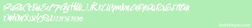SEMPAK Font – White Fonts on Green Background
