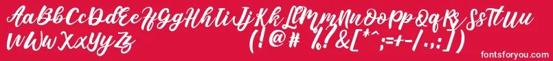 Senada-Schriftart – Weiße Schriften auf rotem Hintergrund