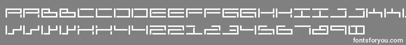 sendhar   anascript Font – White Fonts on Gray Background