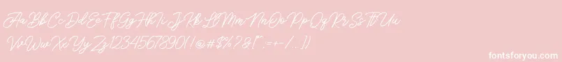 Sengkaling Demo Font – White Fonts on Pink Background