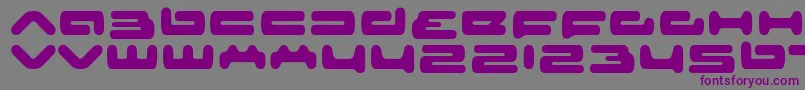 フォントsenior service – 紫色のフォント、灰色の背景