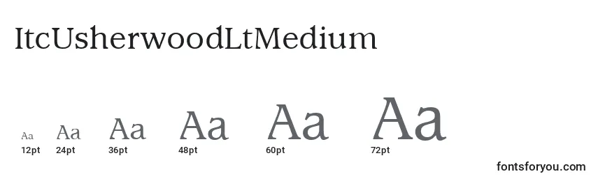 Размеры шрифта ItcUsherwoodLtMedium