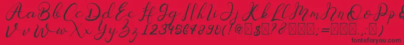 Senoritta Font – Black Fonts on Red Background