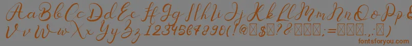 Senoritta Font – Brown Fonts on Gray Background
