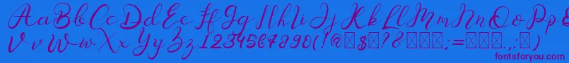 Senoritta Font – Purple Fonts on Blue Background