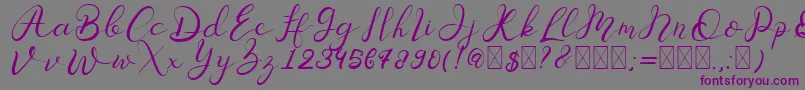 Senoritta Font – Purple Fonts on Gray Background