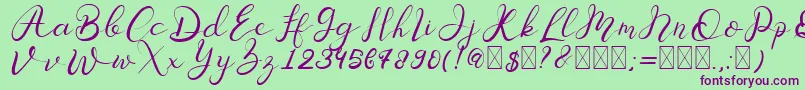 Senoritta Font – Purple Fonts on Green Background