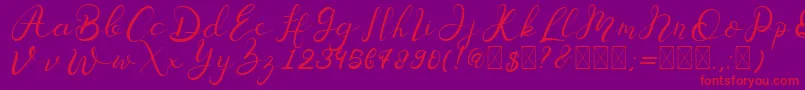 Senoritta Font – Red Fonts on Purple Background