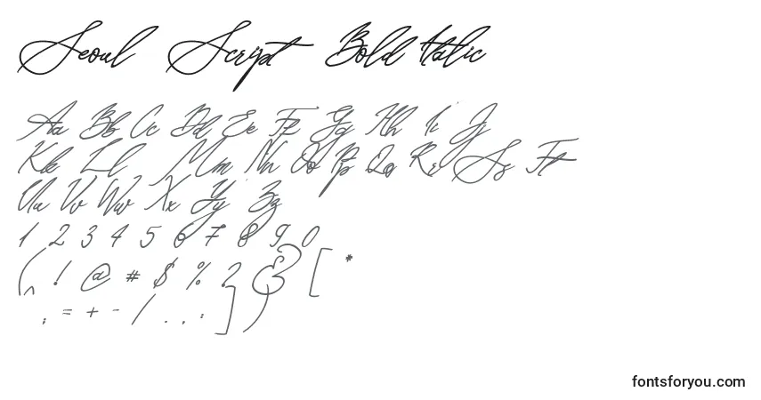 Schriftart Seoul Script Bold Italic (139997) – Alphabet, Zahlen, spezielle Symbole