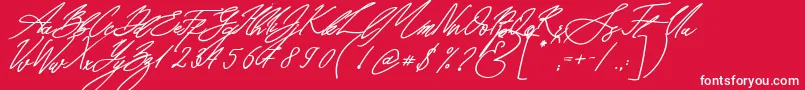 Czcionka Seoul Script Bold Italic – białe czcionki na czerwonym tle