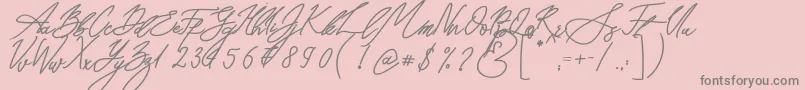 Seoul Script Bold Font – Gray Fonts on Pink Background