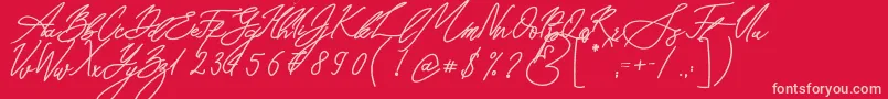 Seoul Script Bold Font – Pink Fonts on Red Background