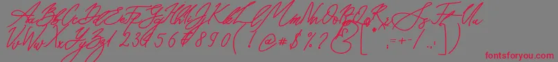 フォントSeoul Script Bold – 赤い文字の灰色の背景