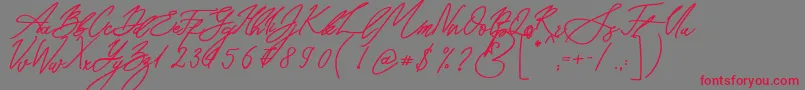 Seoul Script Bold Font – Red Fonts on Gray Background