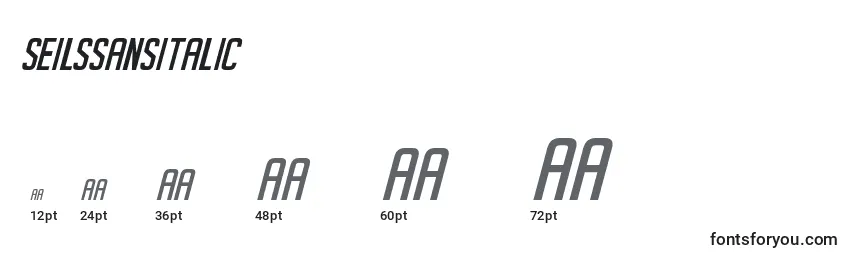 SeilsSansItalic font sizes