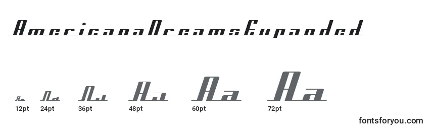 Размеры шрифта AmericanaDreamsExpanded