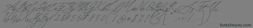 Seoul Script Italic Font – Black Fonts on Gray Background