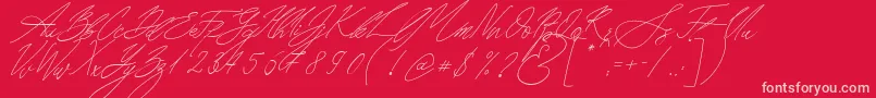 Seoul Script Italic Font – Pink Fonts on Red Background